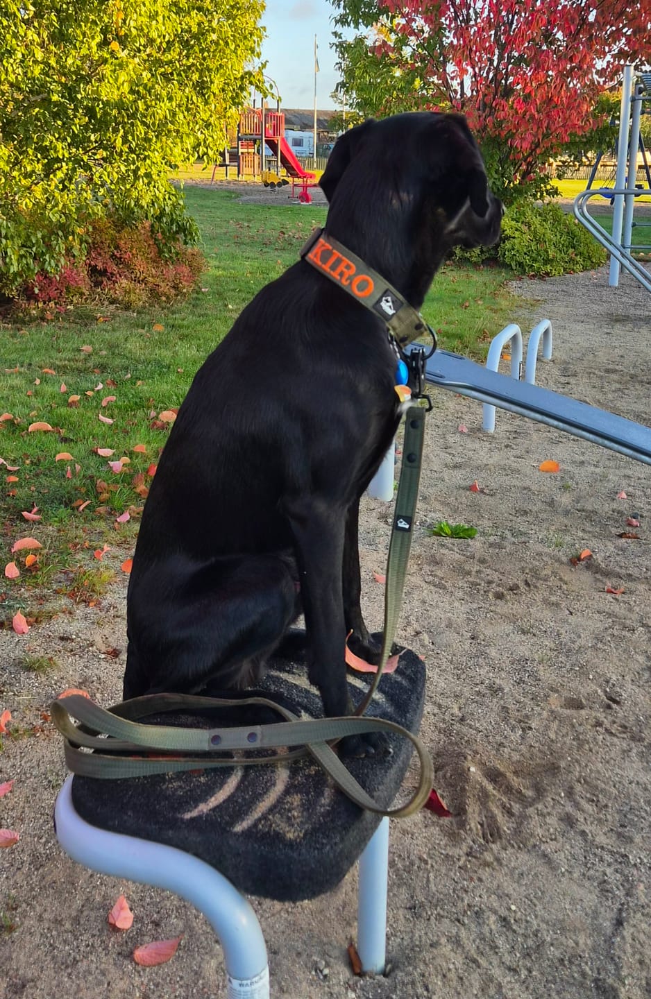 Customer photo review of Extreme Buckle med namn