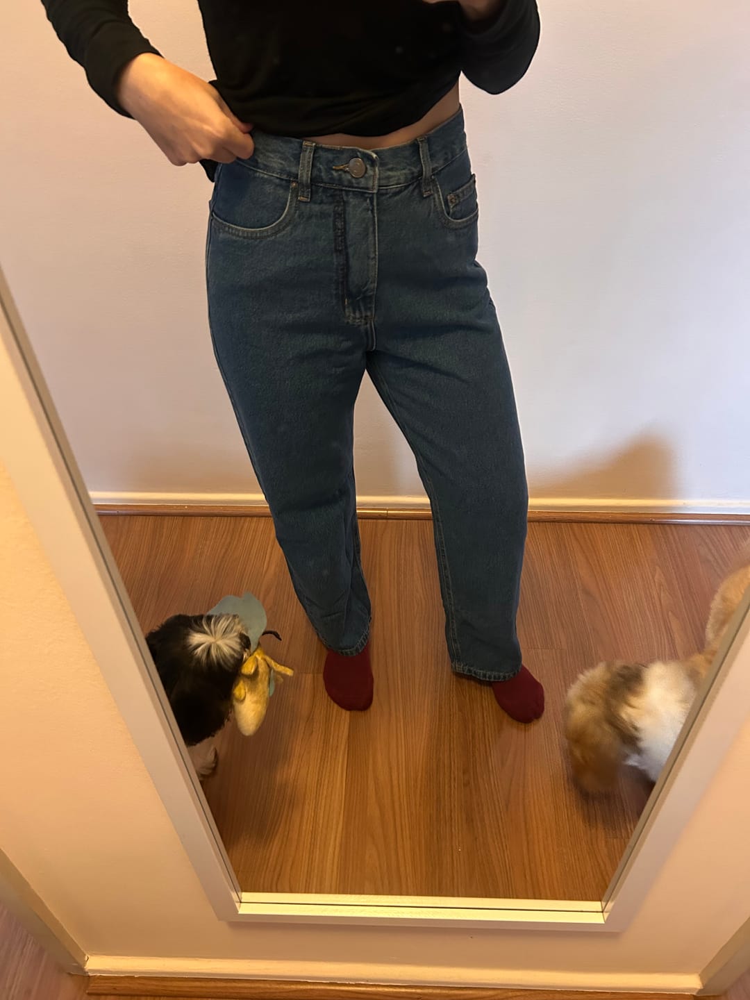 Customer photo review of Calça Jeans Reta Araçá Azul Médio