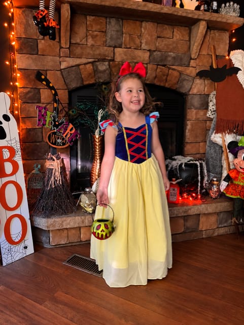 Customer photo review of Portrait Collection Snow White Gown