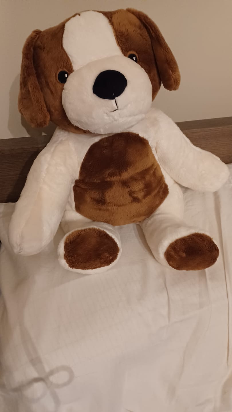 Customer photo review of Lotgenootje Hond 2kg