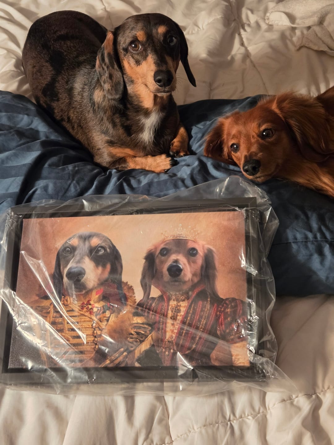 Customer photo review of Free Digital Download of Your Artwork
