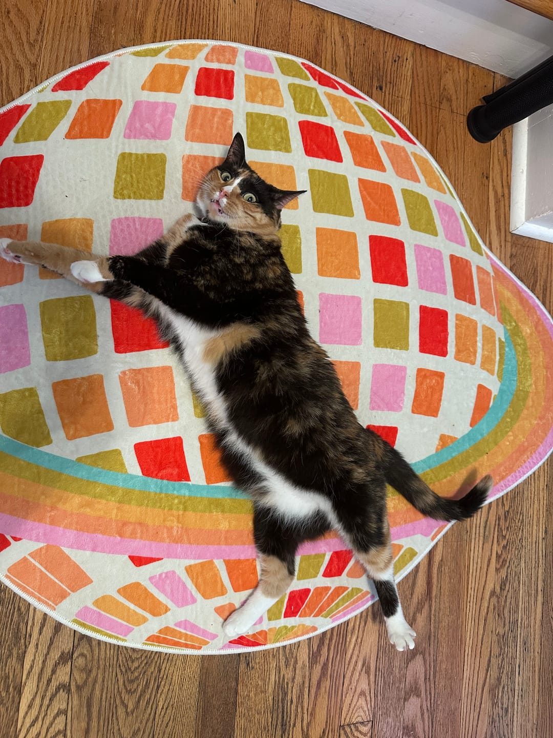 Customer photo review of Disco Planet Checkered Rug by Darra Sargent
