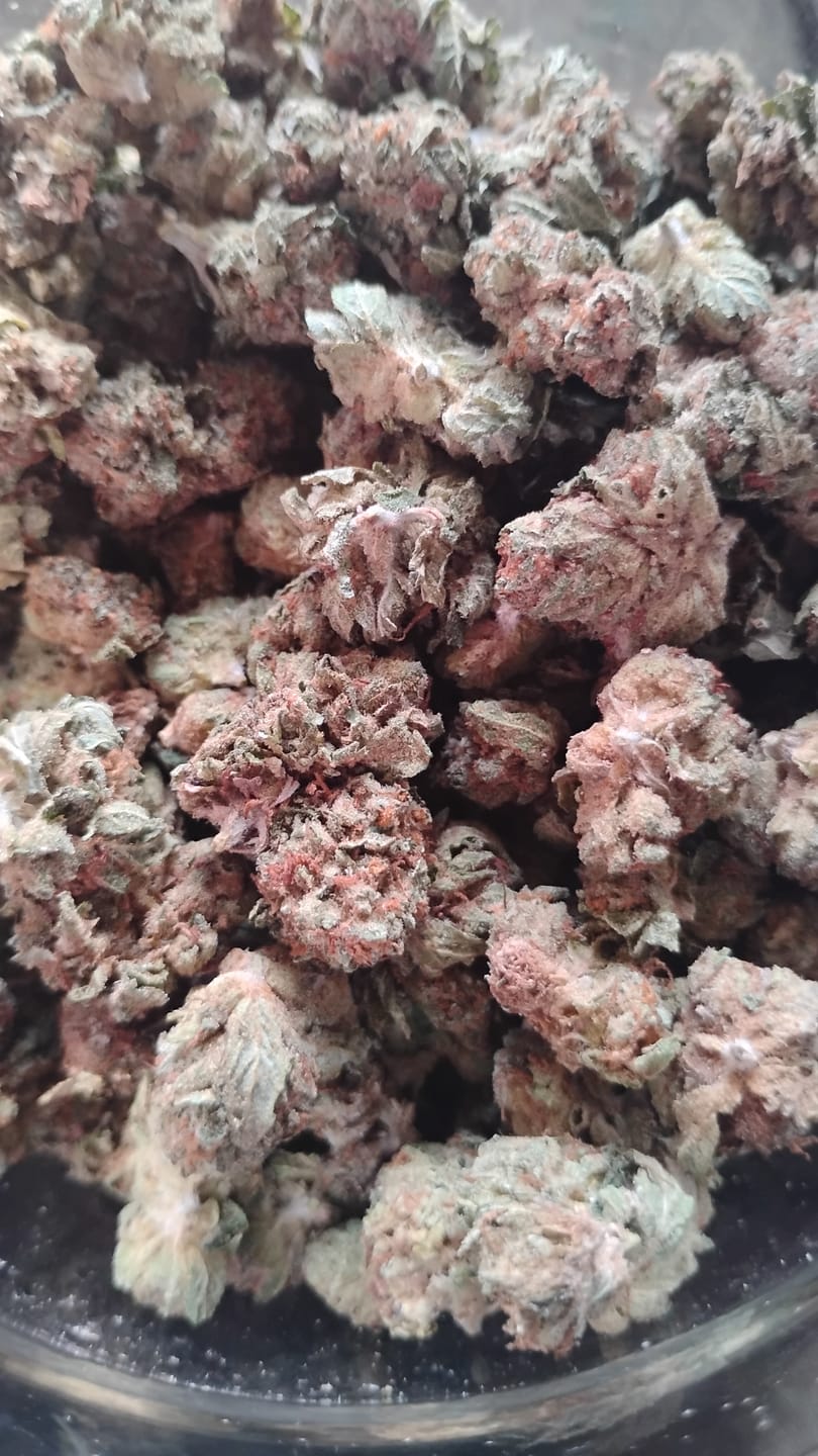 Customer photo review of Light Assist THCA Smalls