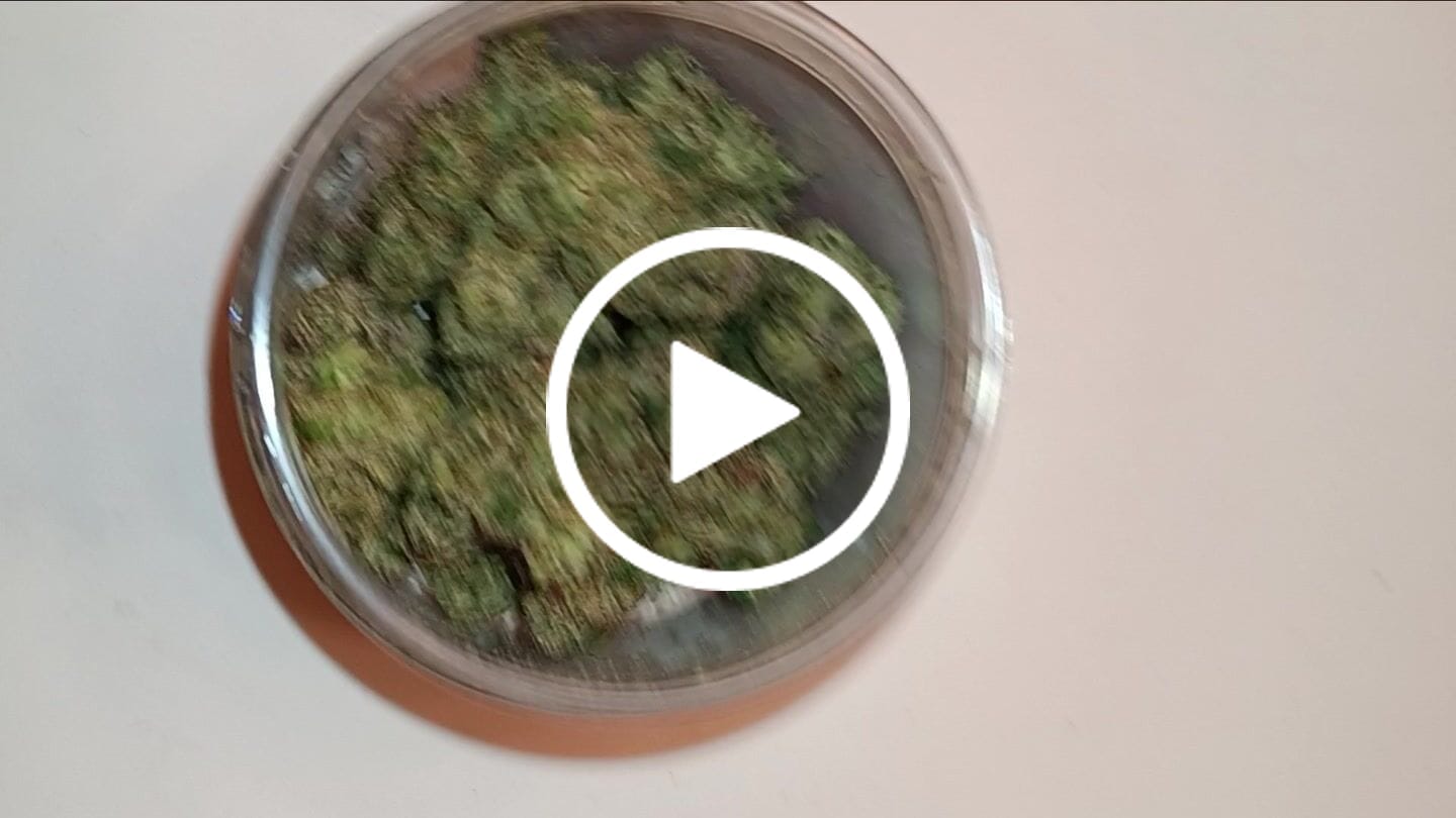 Customer video review of Elite Boutique Exotics - Z Candy - 14 Grams - Hybrid