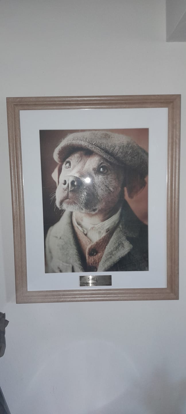 Customer photo review of Nigel By TjP
