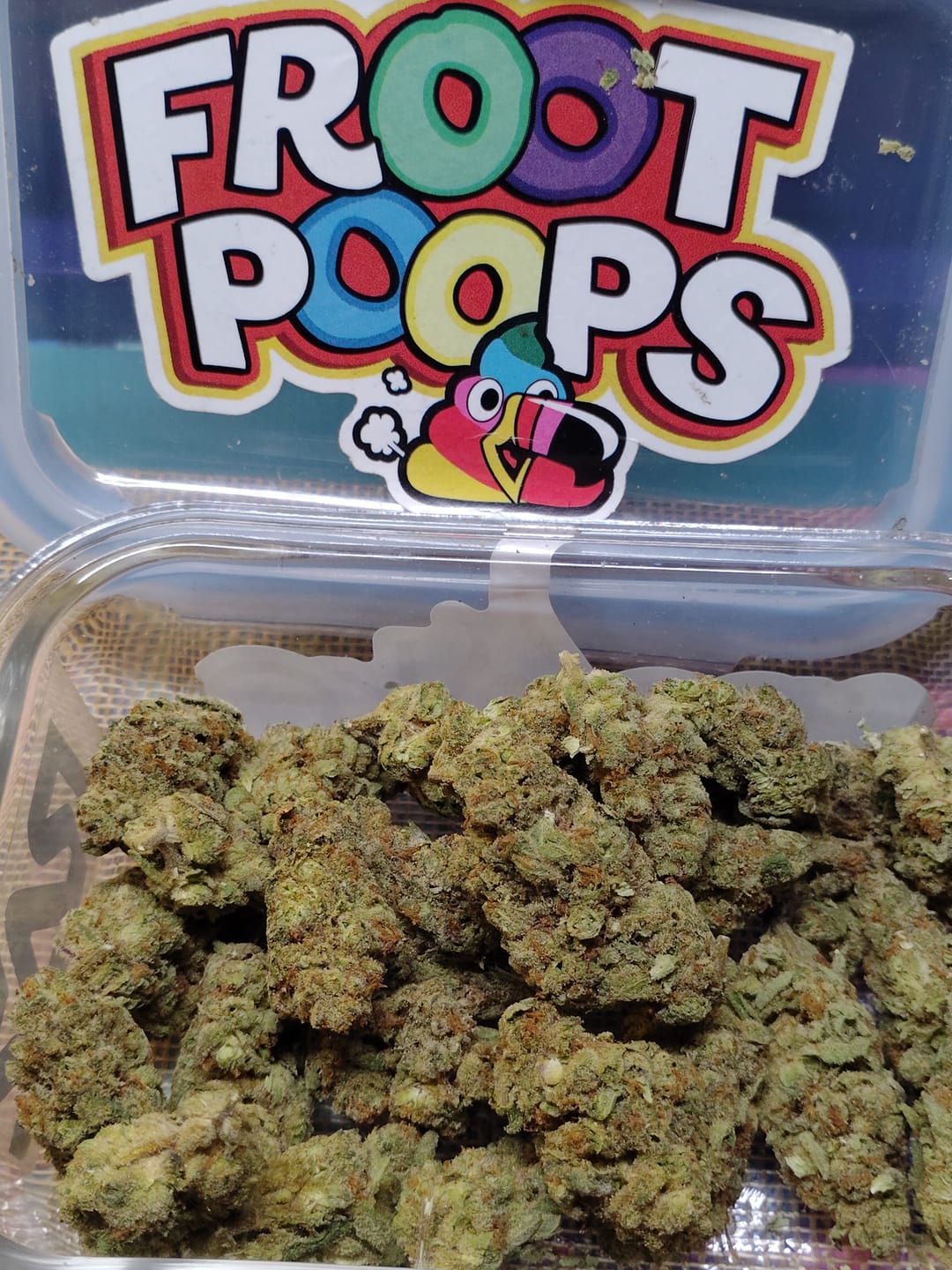 Customer photo review of Jack Skellington THCA Flower