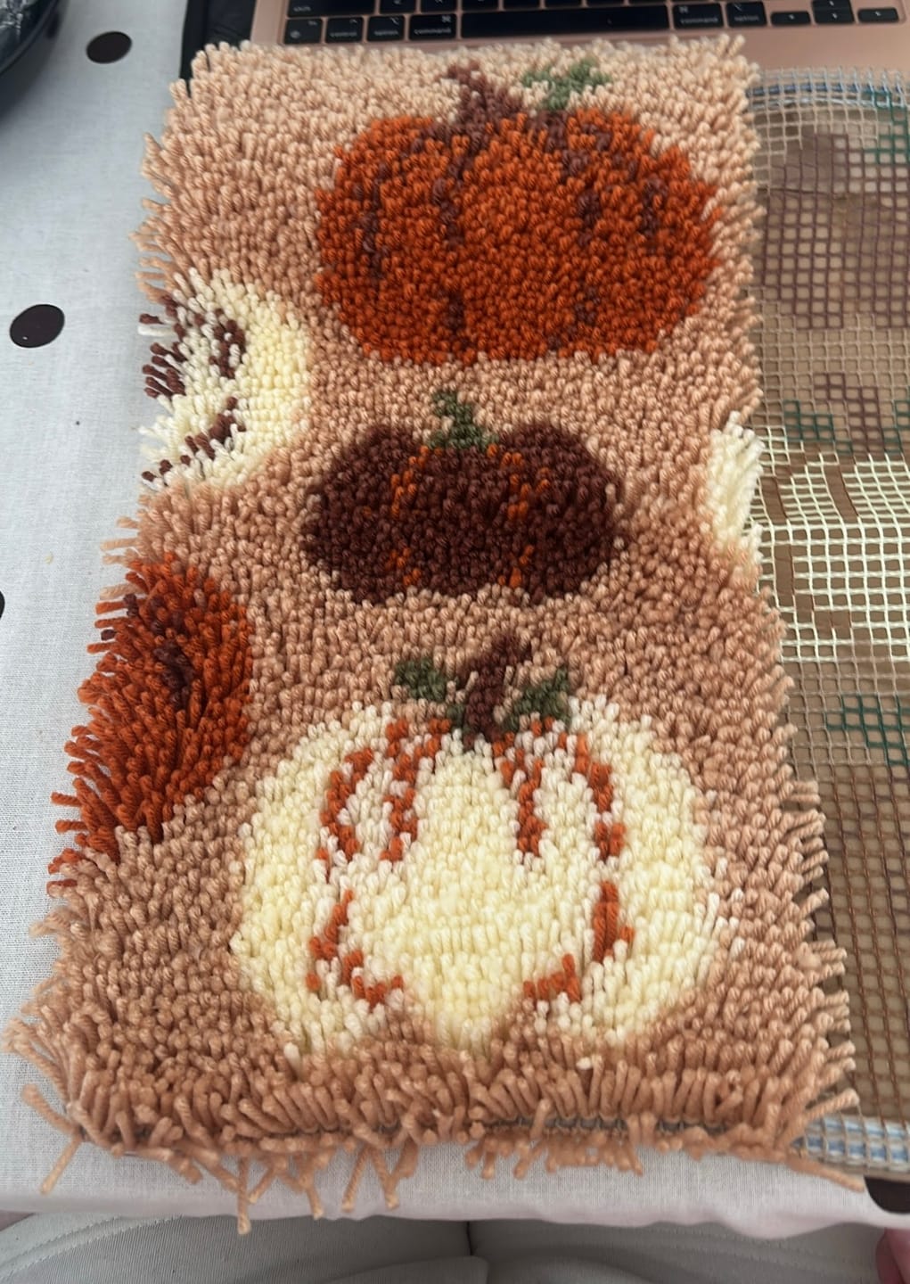 Customer photo review of PUMPKIN SPICE - Latch Hook Cushion Kit