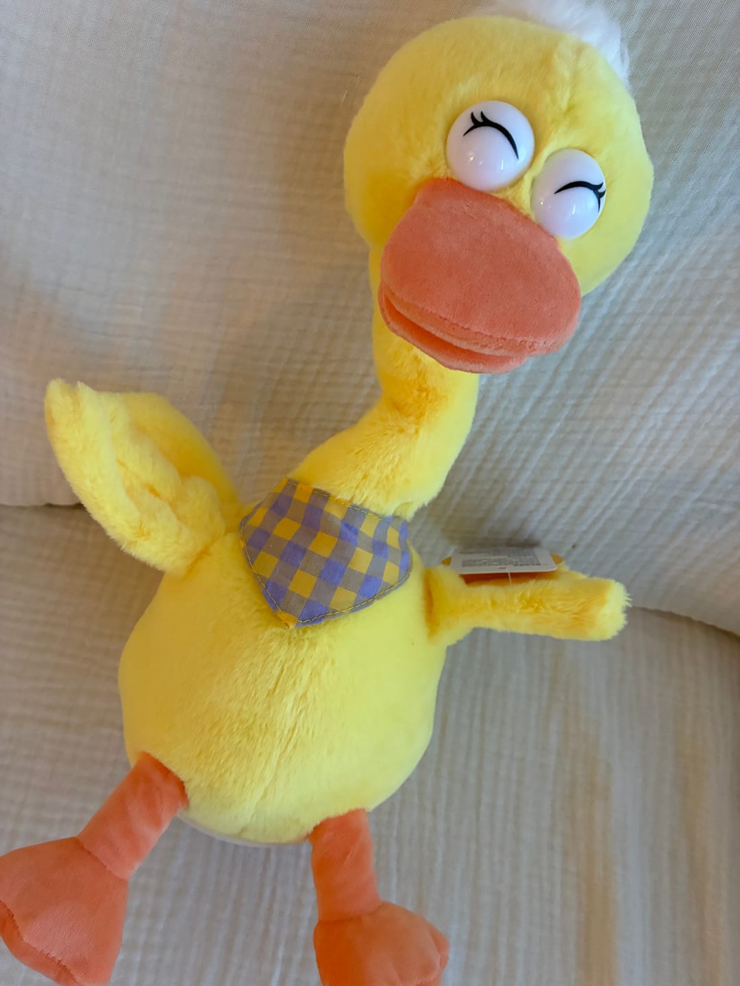 Customer photo review of 🐥 PATO BAILARÍN HABLADOR