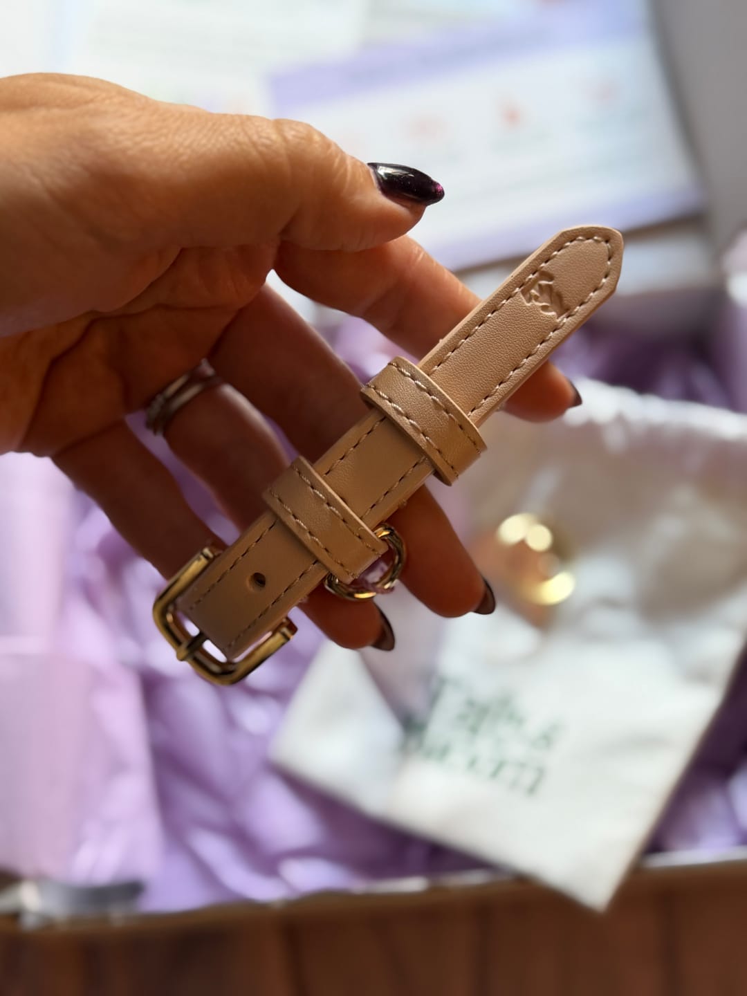 Customer photo review of Biscotti Dog Collar