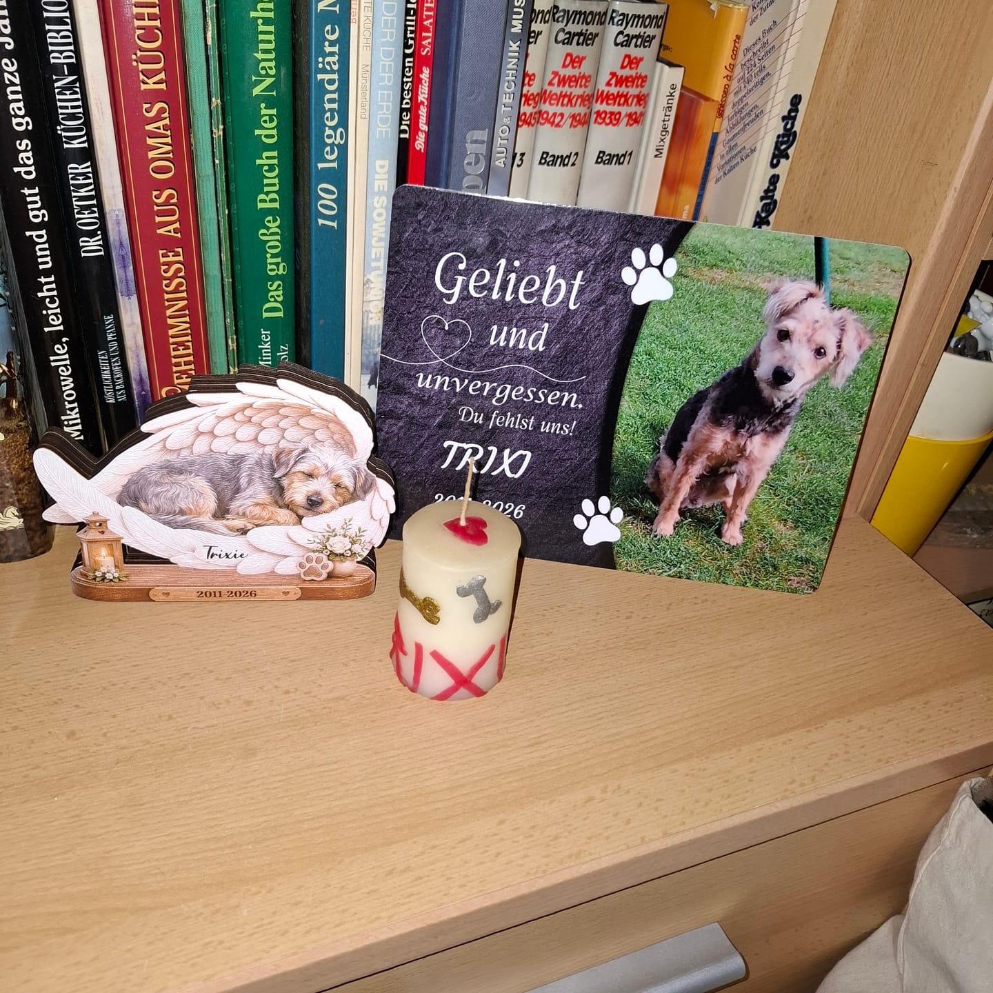 Customer photo review of Hunde Gedenktafel mit Foto & Spruch (UV- & Wetterfest)