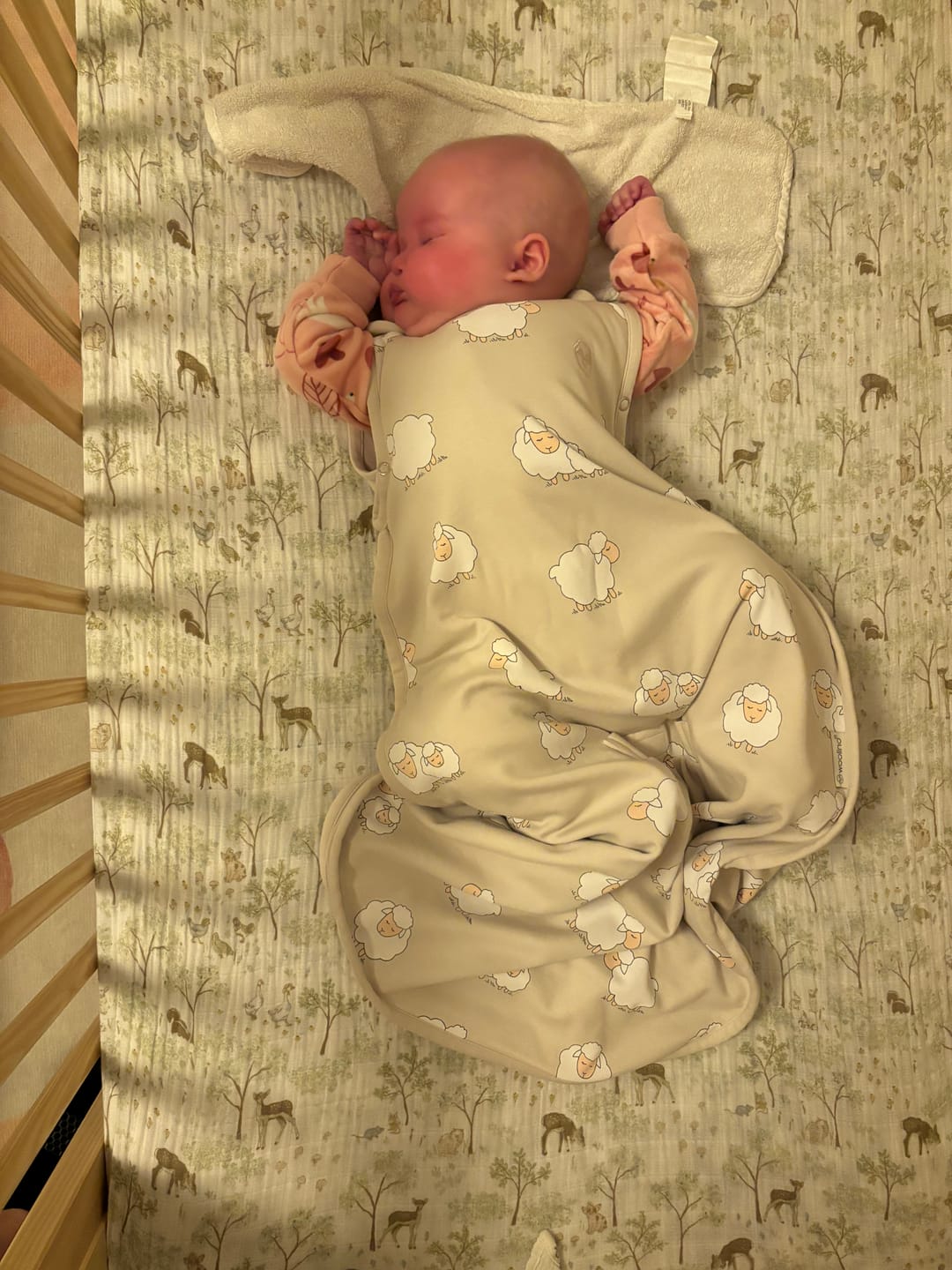 Customer photo review of 4 Season® Ultimate Baby Sleep Bag, Merino Wool & Organic Cotton, Sheep