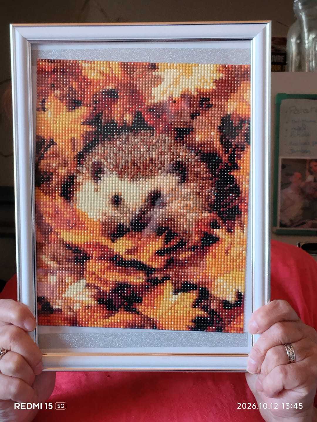 Customer photo review of Broderie Diamant - Hérisson dans les feuilles d'Automne