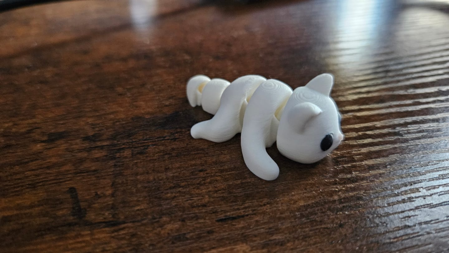 Customer photo review of Cat