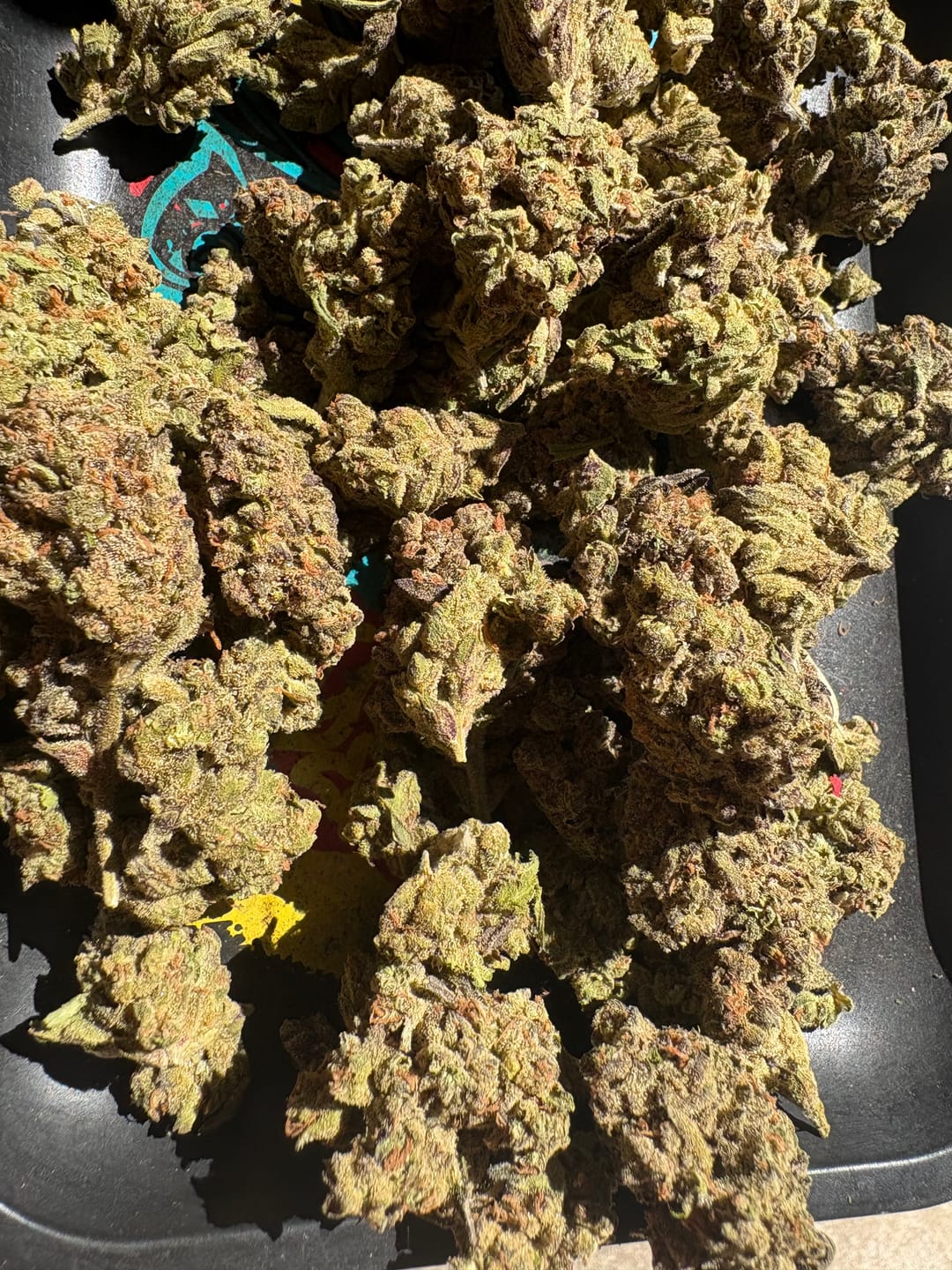 Customer photo review of THCA Queen
