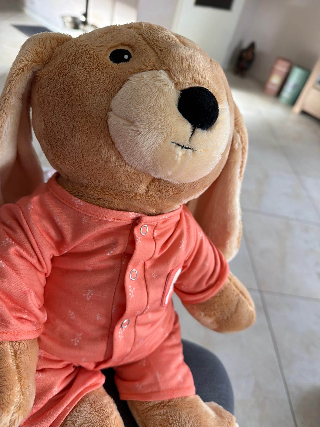 Customer photo review of Lotgenootje Konijn 2kg