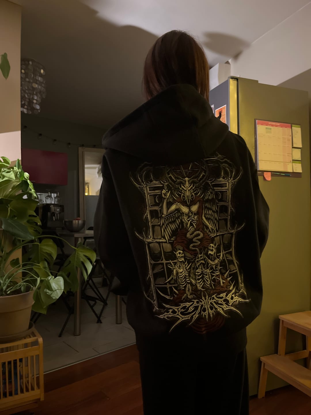 Customer photo review of 666 - Veste