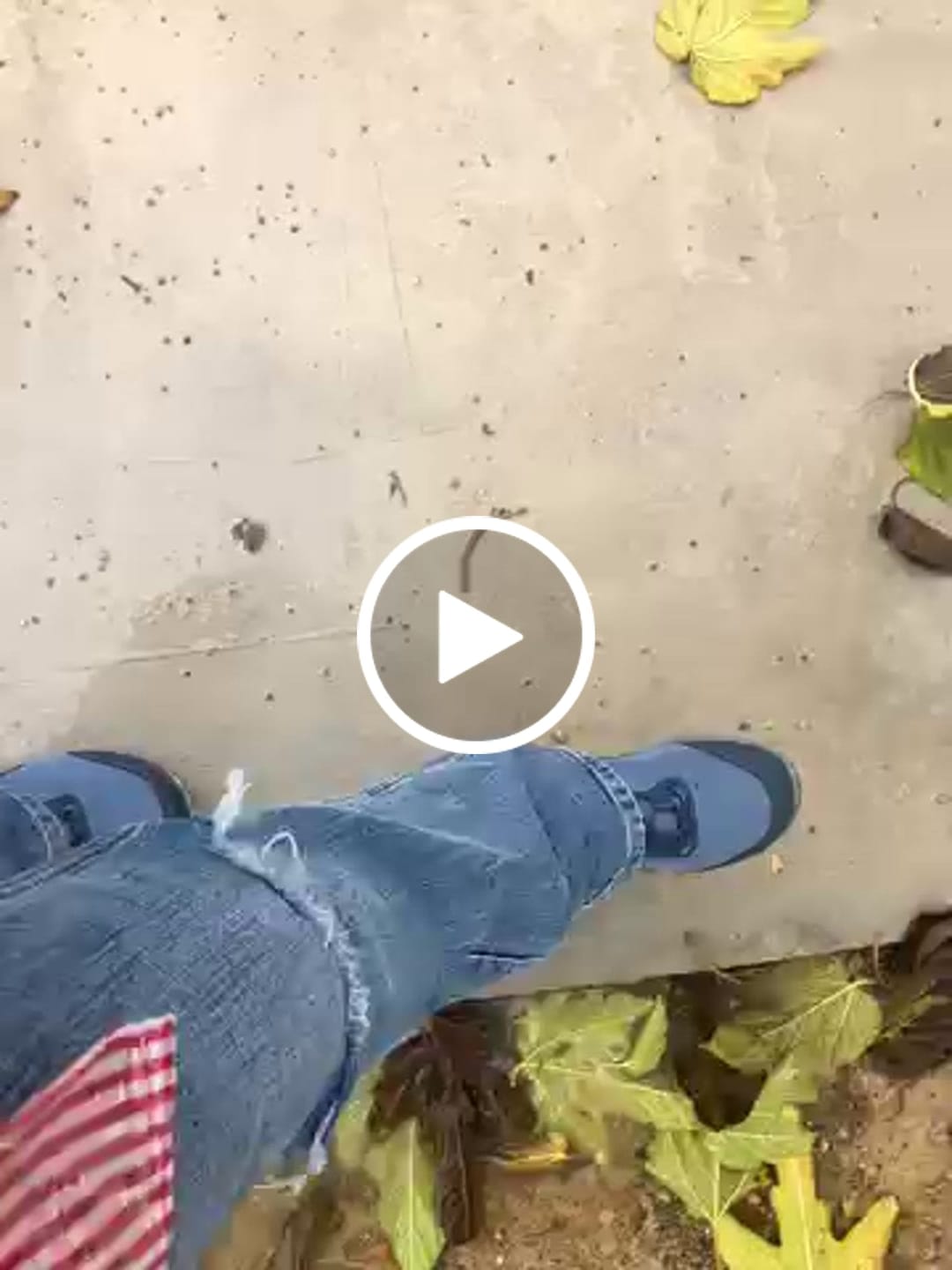 Customer video review of Brave Ⅰ - Zapatos Barefoot