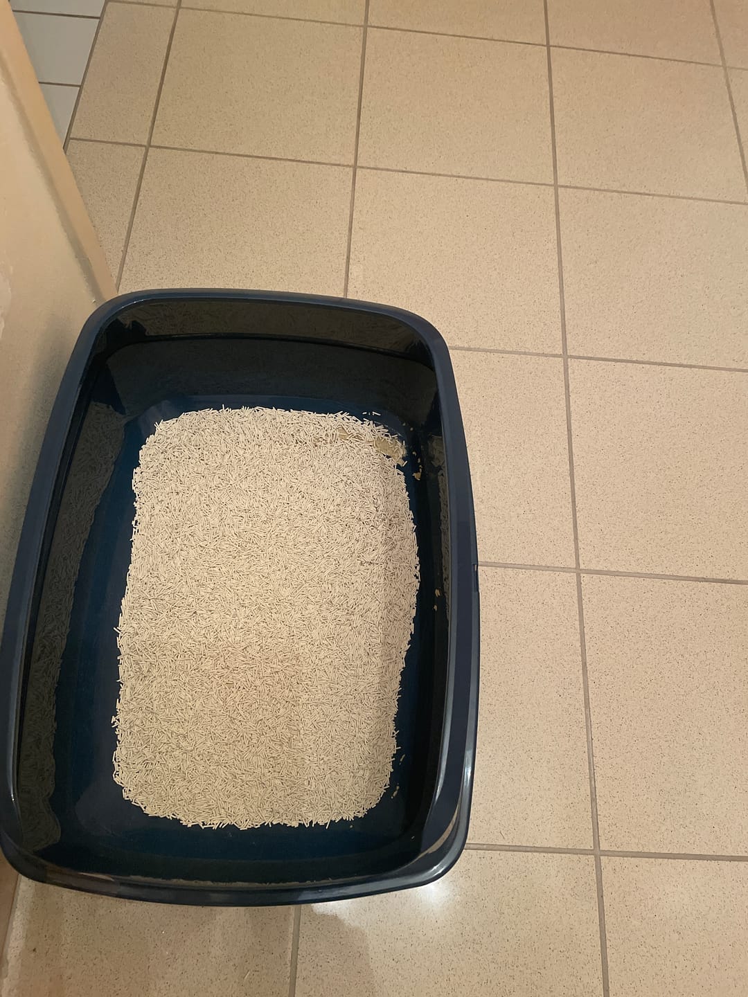 Customer photo review of Naturreines Katzenstreu