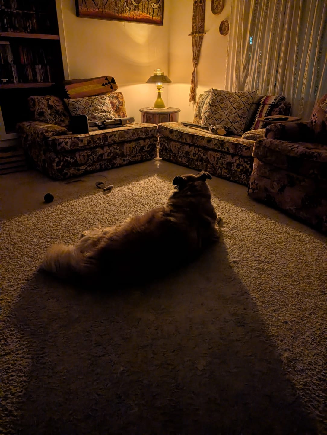 Customer photo review of Circadian Lightbulb™