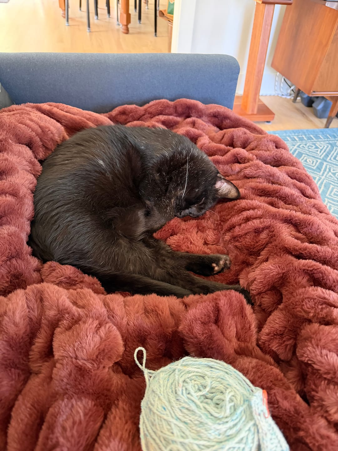 Customer photo review of Hugs Rich Mahogany Blanket