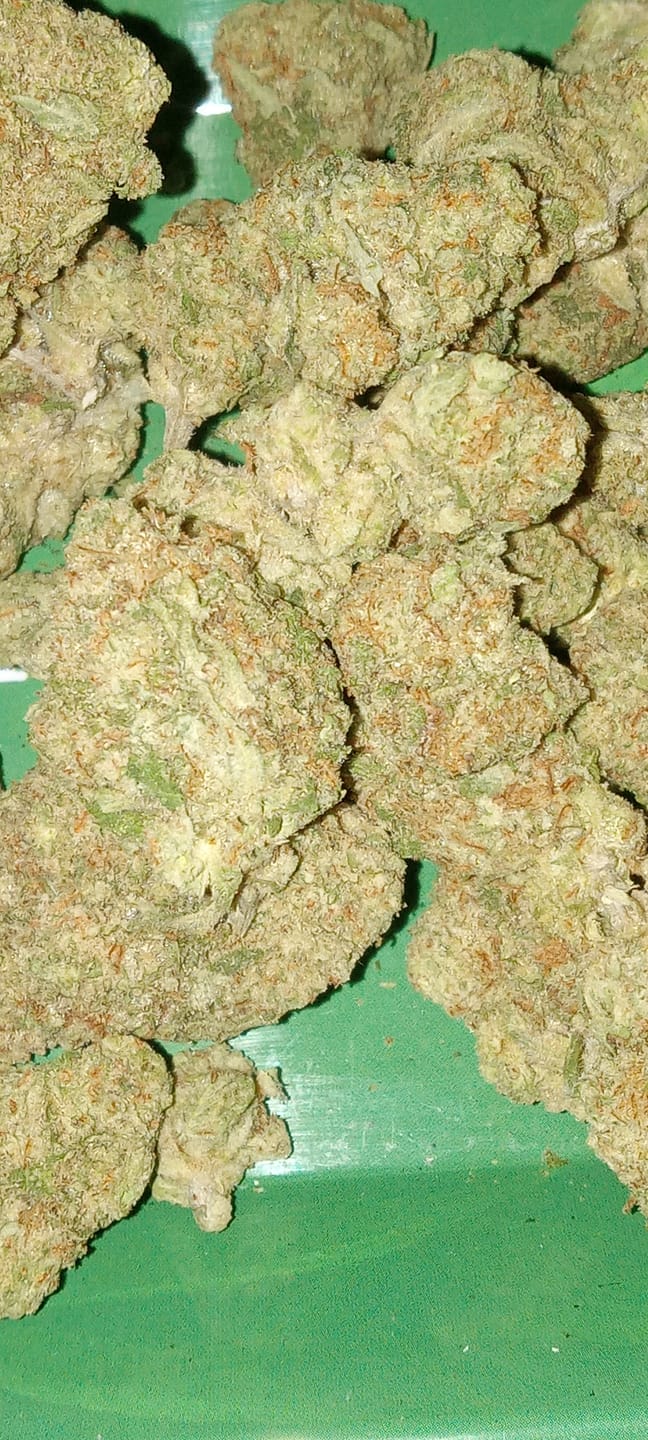 Customer photo review of Strawberry Cough THCA Flower