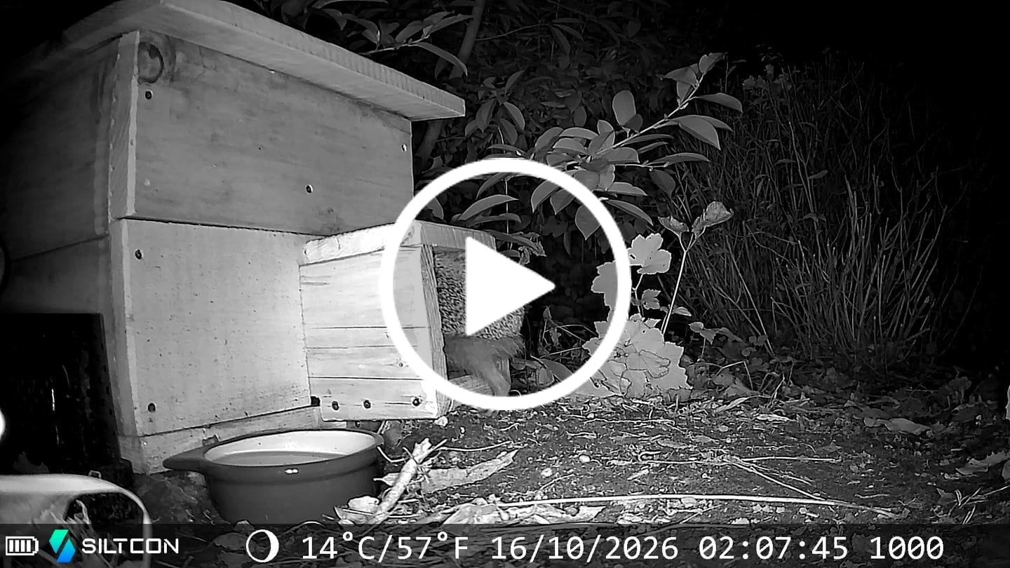 Customer video review of Siltcon® Wildcamera 6V DC Adapter