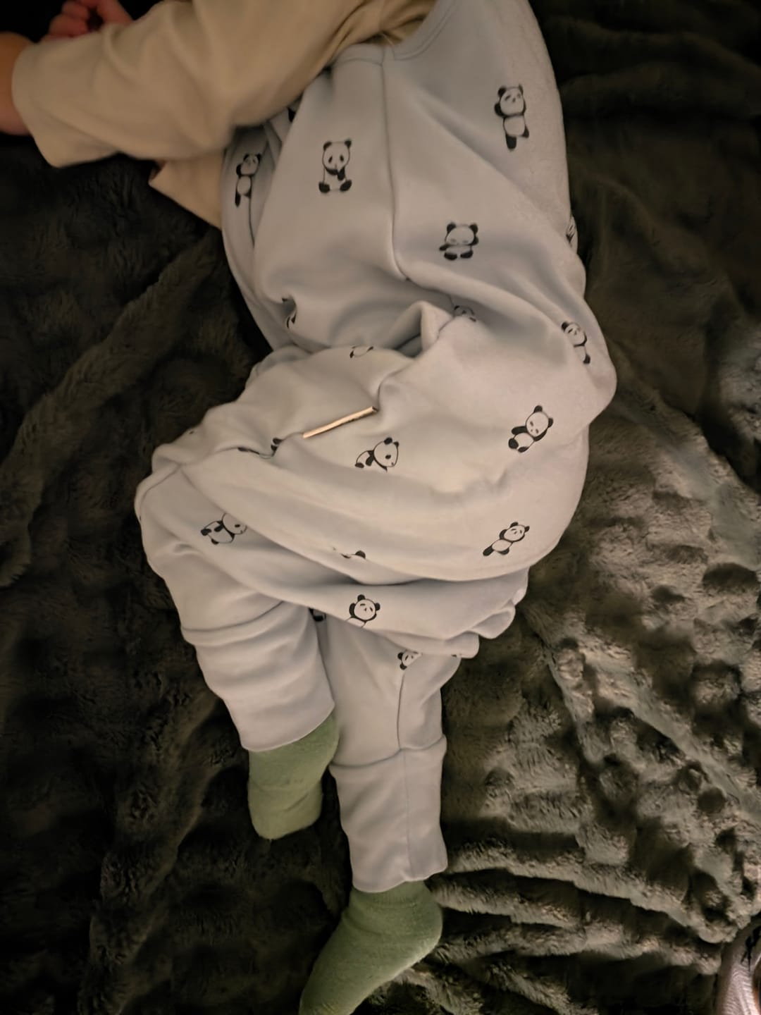 Customer photo review of 4 Season® Baby Sleep Bag with Feet, Merino Wool & Organic Cotton, Panda