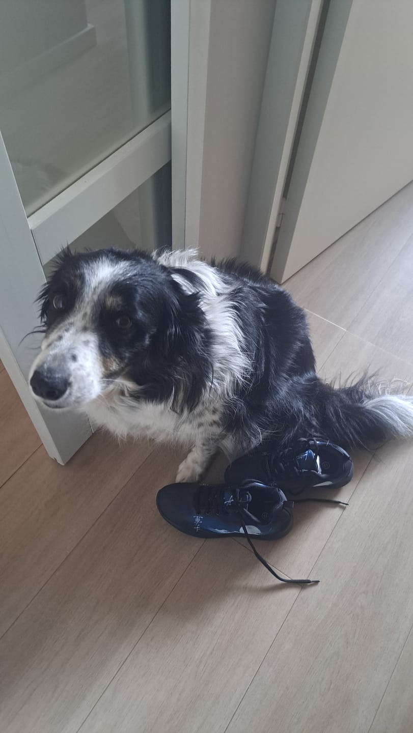 Customer photo review of Sneakers Ryūjin