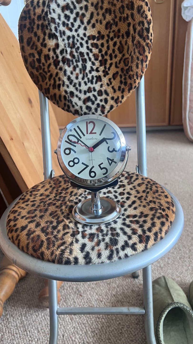Customer photo review of Orbit Alarm Clock