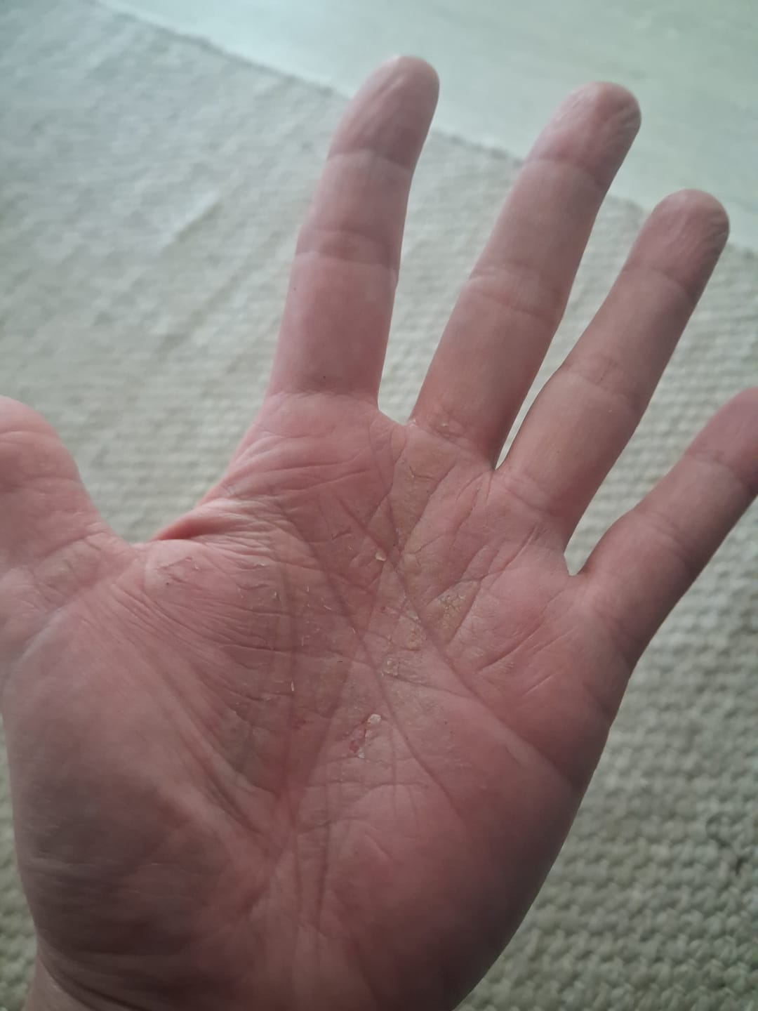 Customer photo review of Silky Sage Talivoide