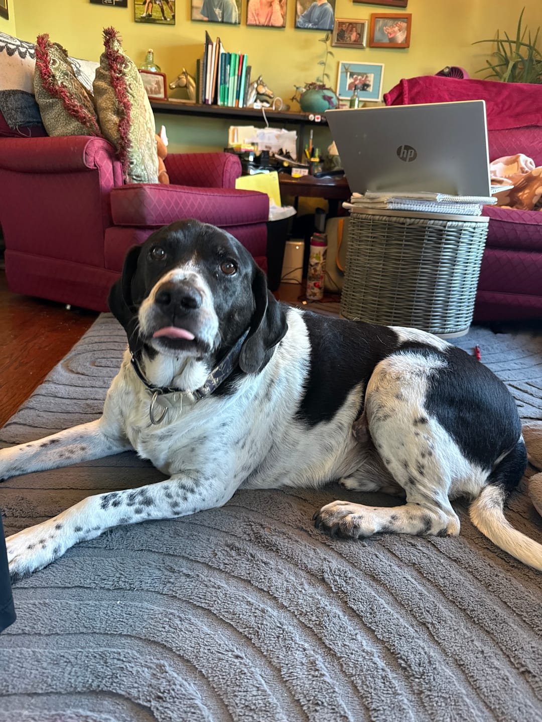 Customer photo review of Designer Relax Mat - 1.4" Thick Foam Base