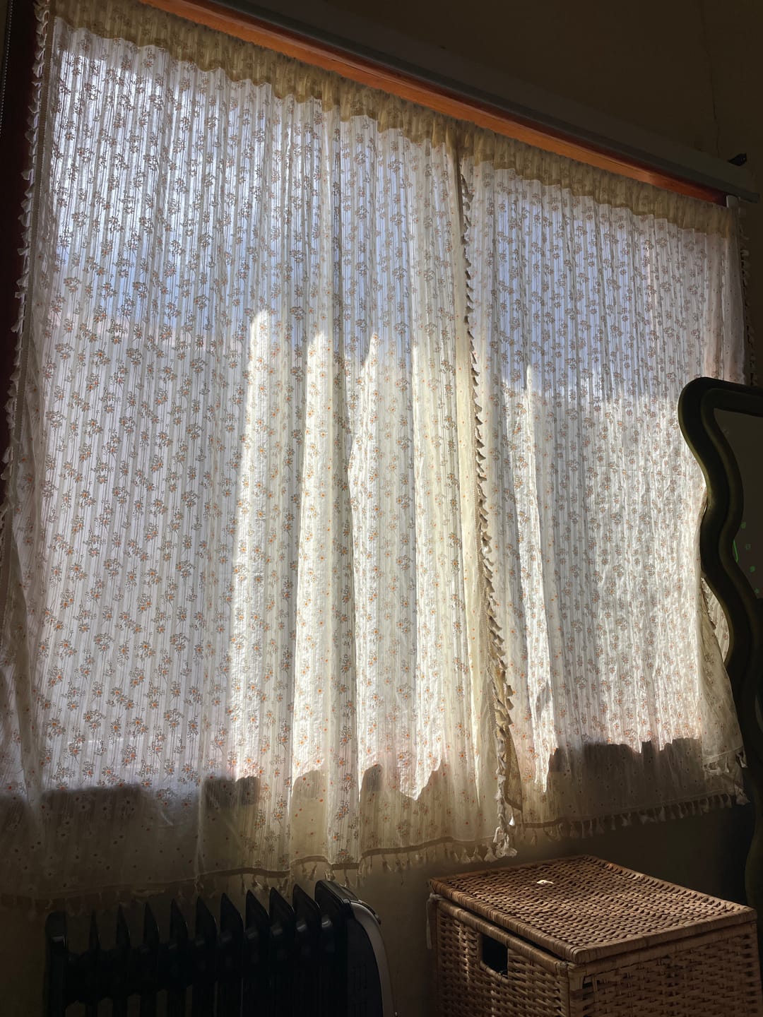 Customer photo review of Daisyland Tassel Curtain