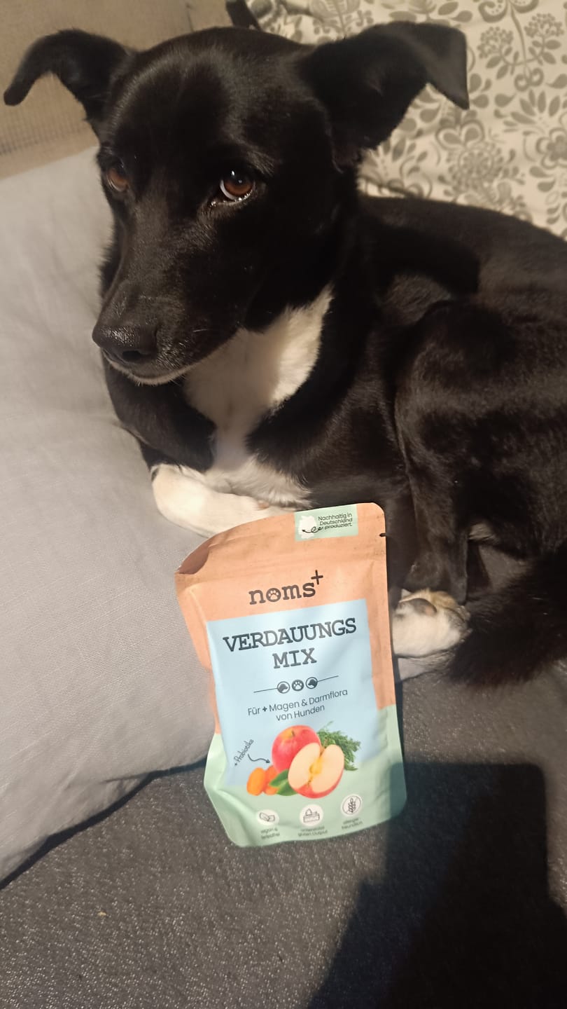 Customer photo review of Kräuter Dentals für Hunde