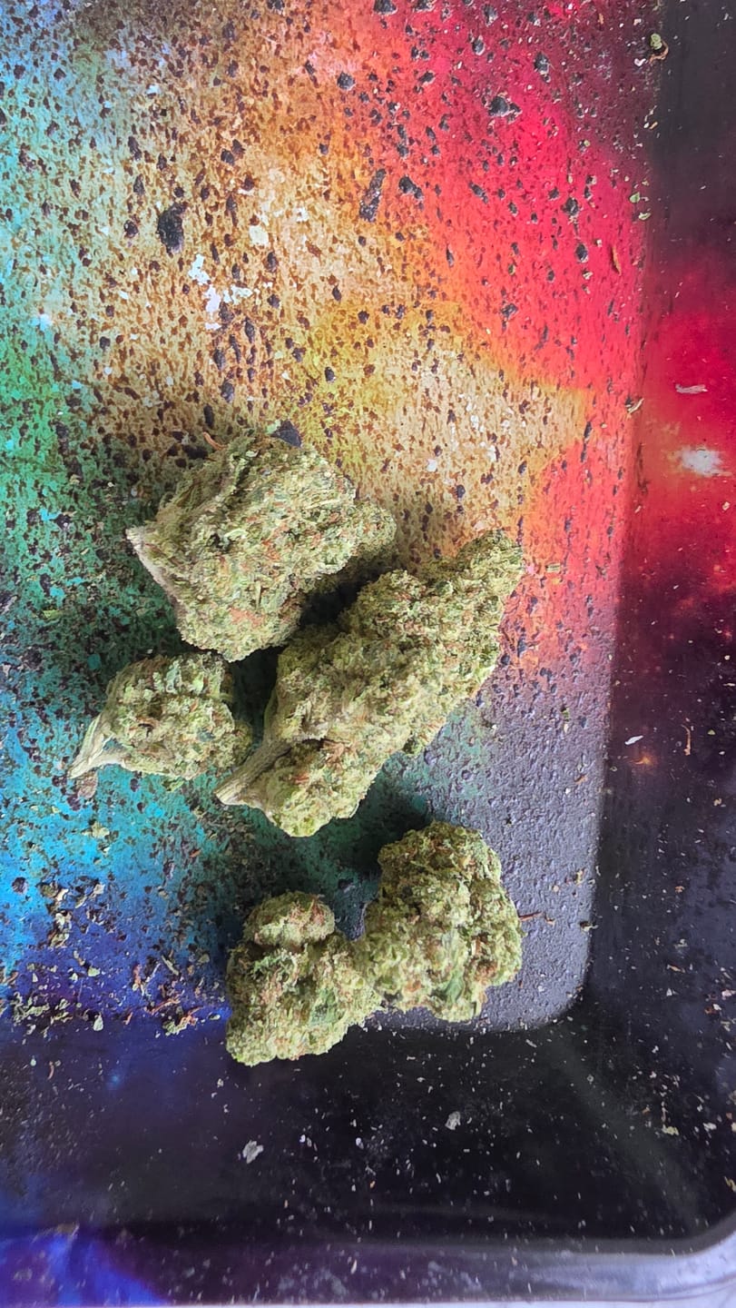 Customer photo review of Gorilla Glue THCA Flower