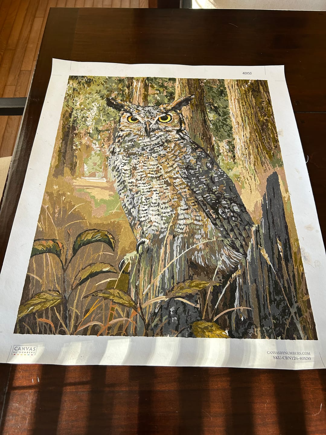 Customer photo review of Golden Swallow