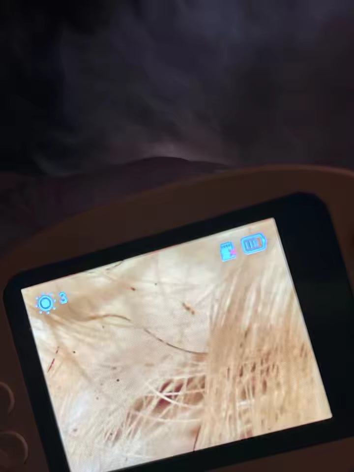 Customer photo review of ™MicroQuest מיקרוסקופ שטח דיגיטלי לילדים ולחקר הטבע
