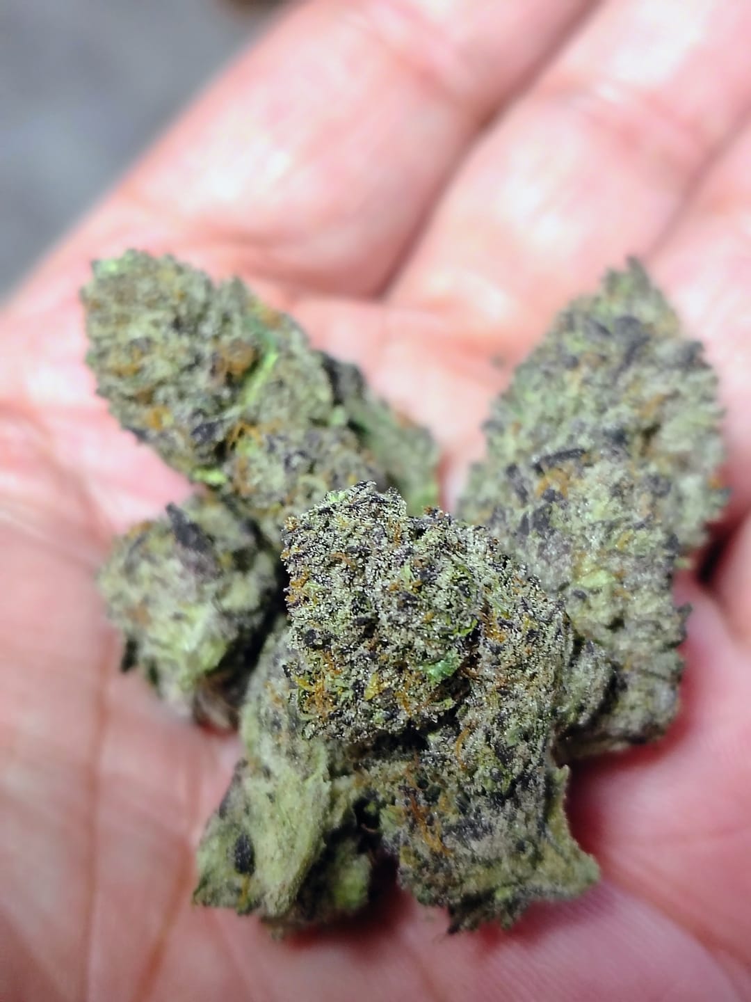 Customer photo review of Cheap Indoor THCA Flower Ounce