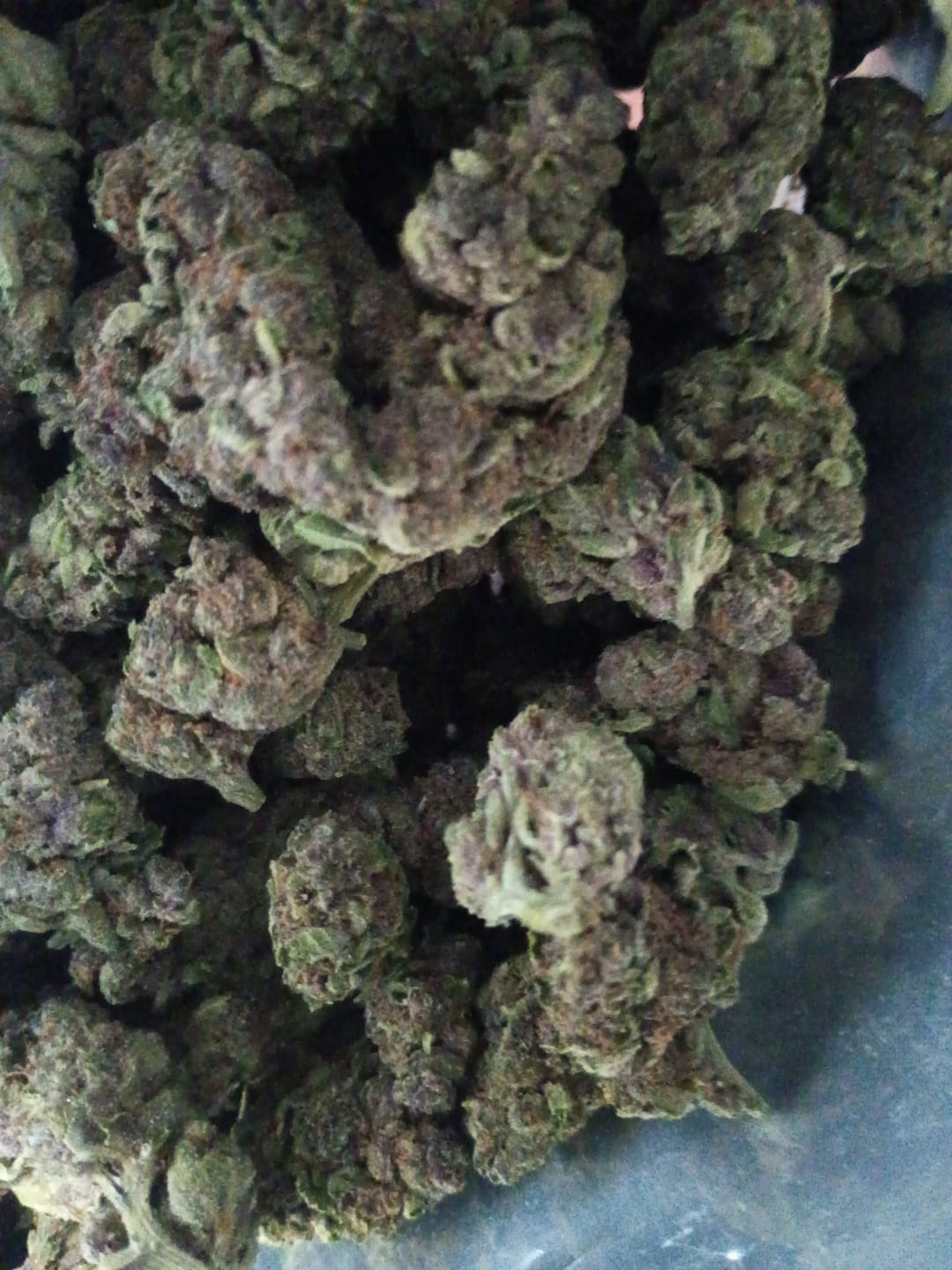 Customer photo review of Cheap THCA Flower Quarter Pound
