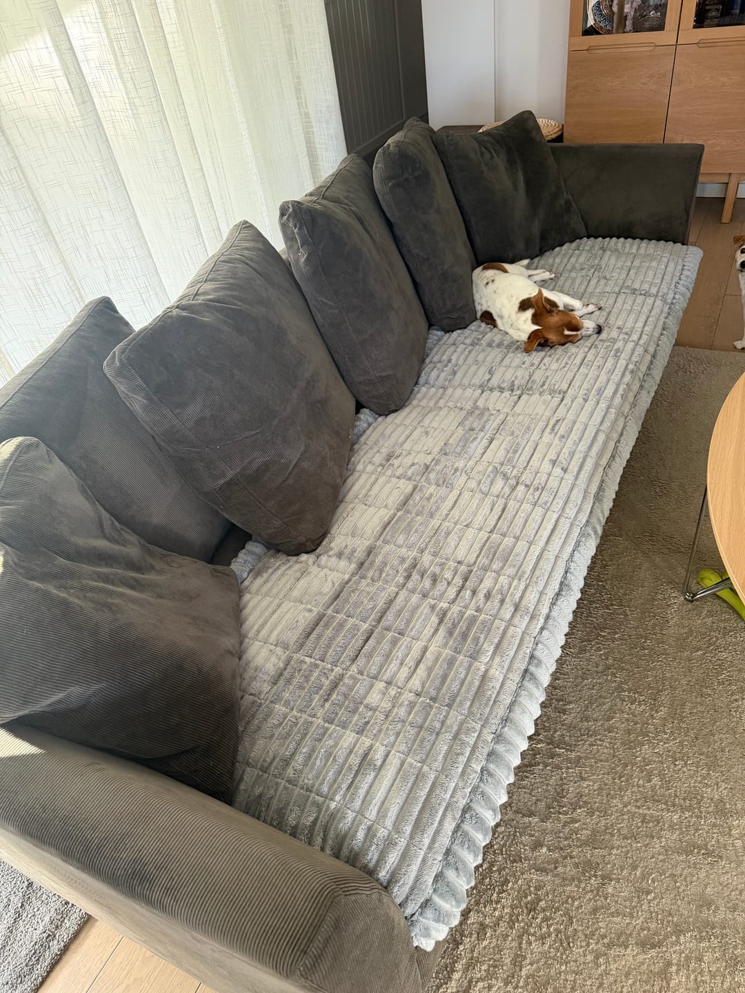 Customer photo review of Koselig Sofatrekk – Hundens favorittplass