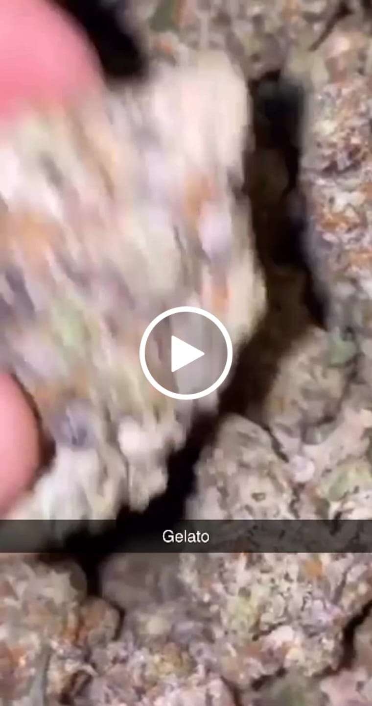 Customer video review of Blockberry (Indoor Smalls) – Bulk THCA Flower 1 lb