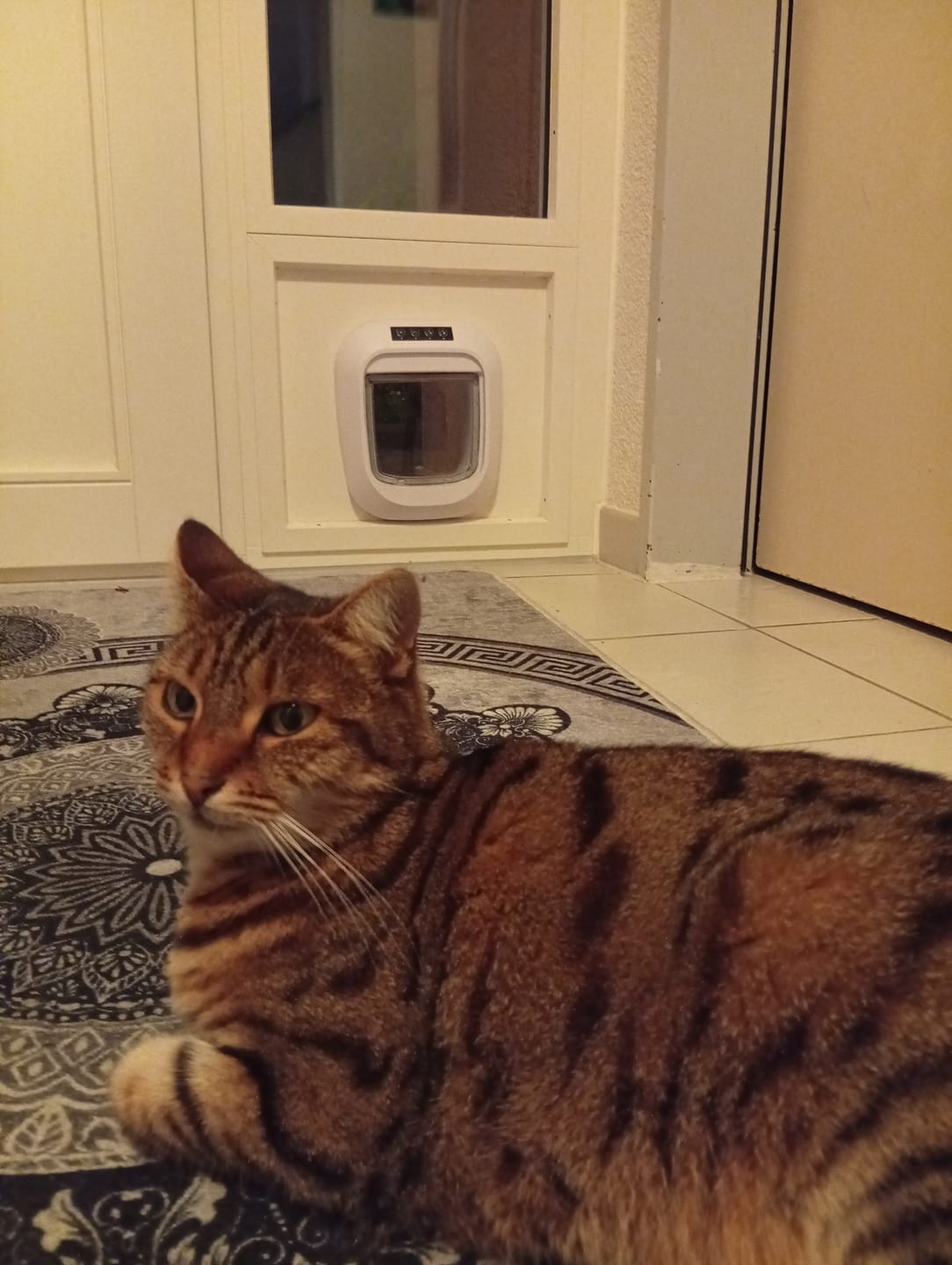 Customer photo review of Flappie®