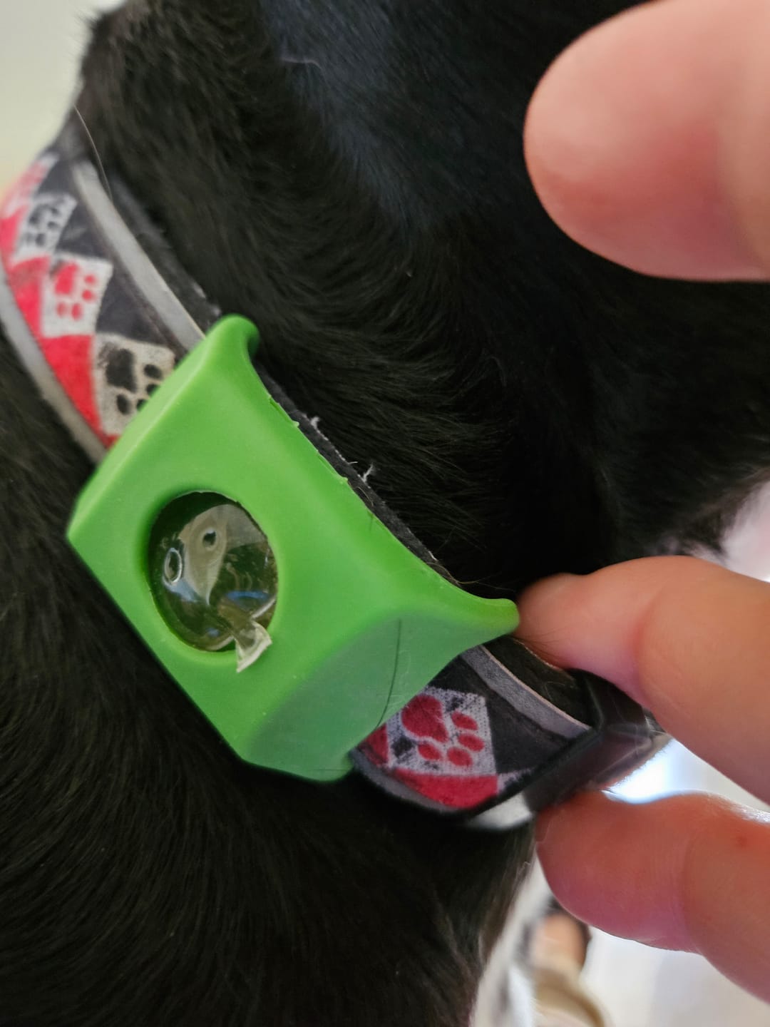 Customer photo review of FurLife™ 12 Months Flea and Tick Free