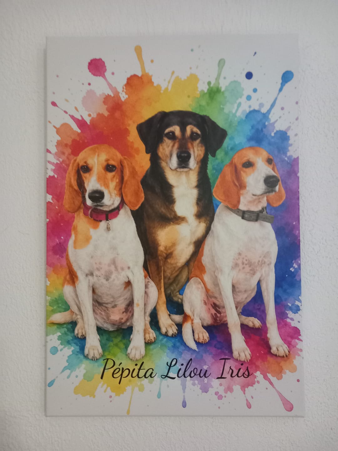 Customer photo review of Ton animal de compagnie en œuvre d’art – avec aperçu en direct, en poster ou sur toile.