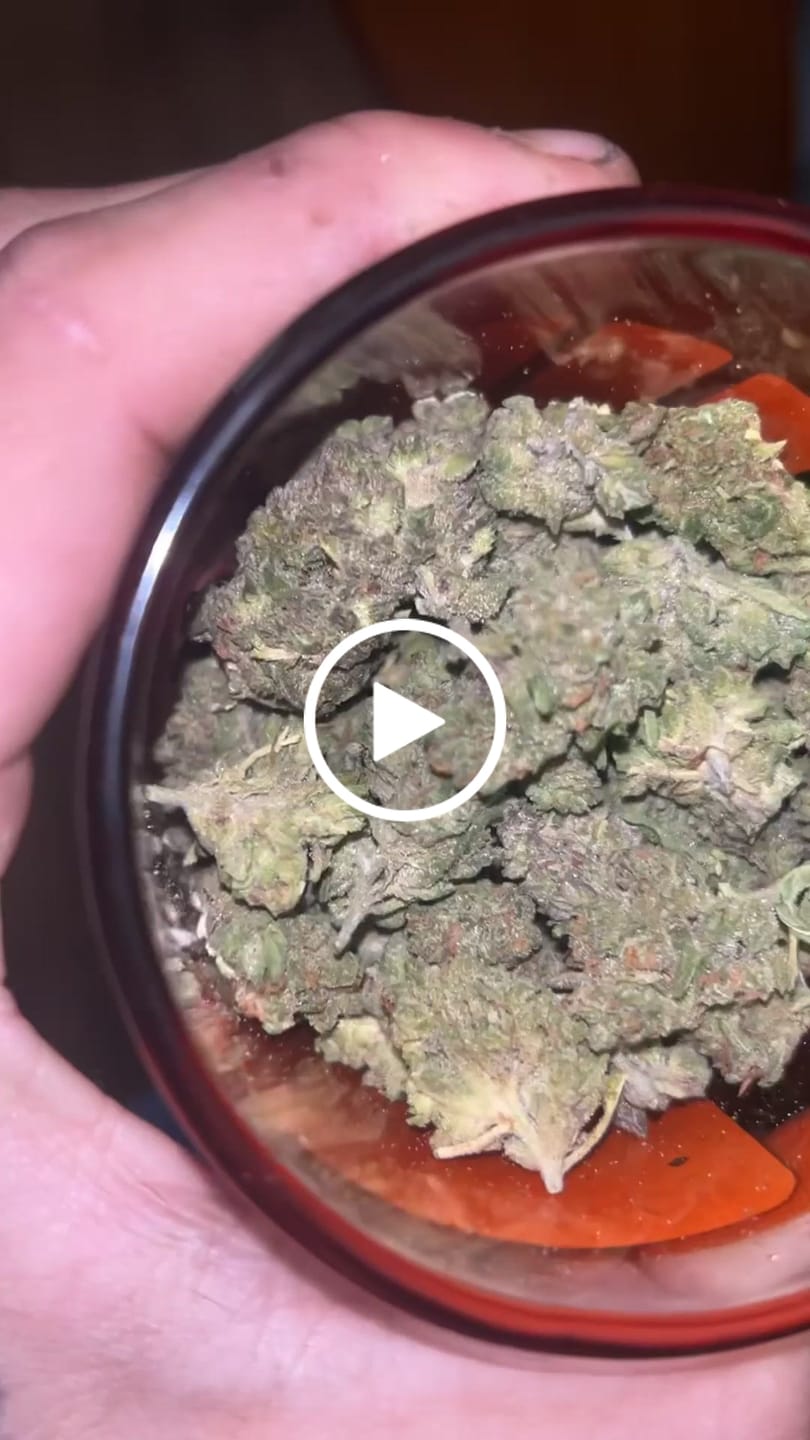 Customer video review of THCA Queen