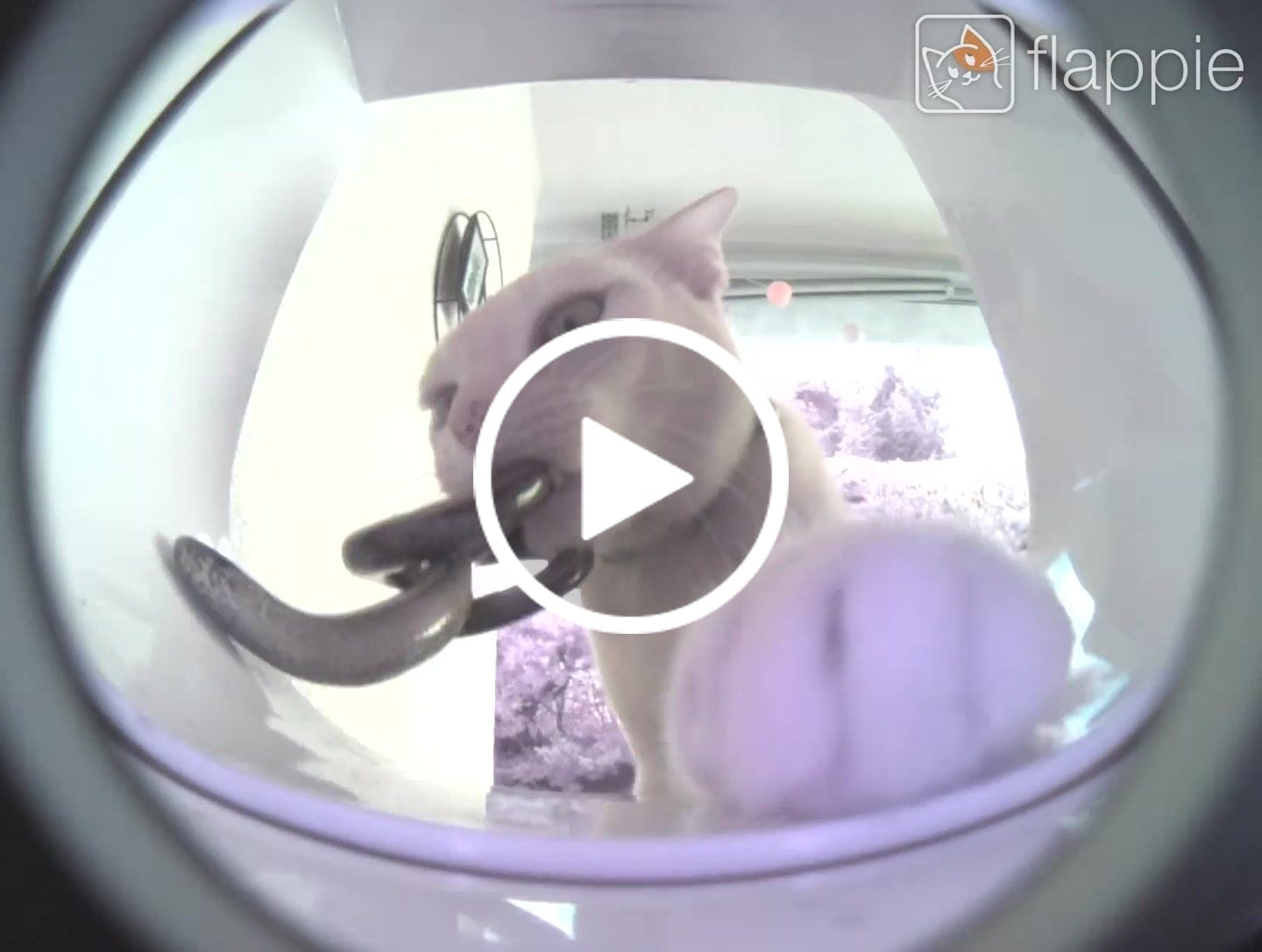 Customer video review of Flappie®