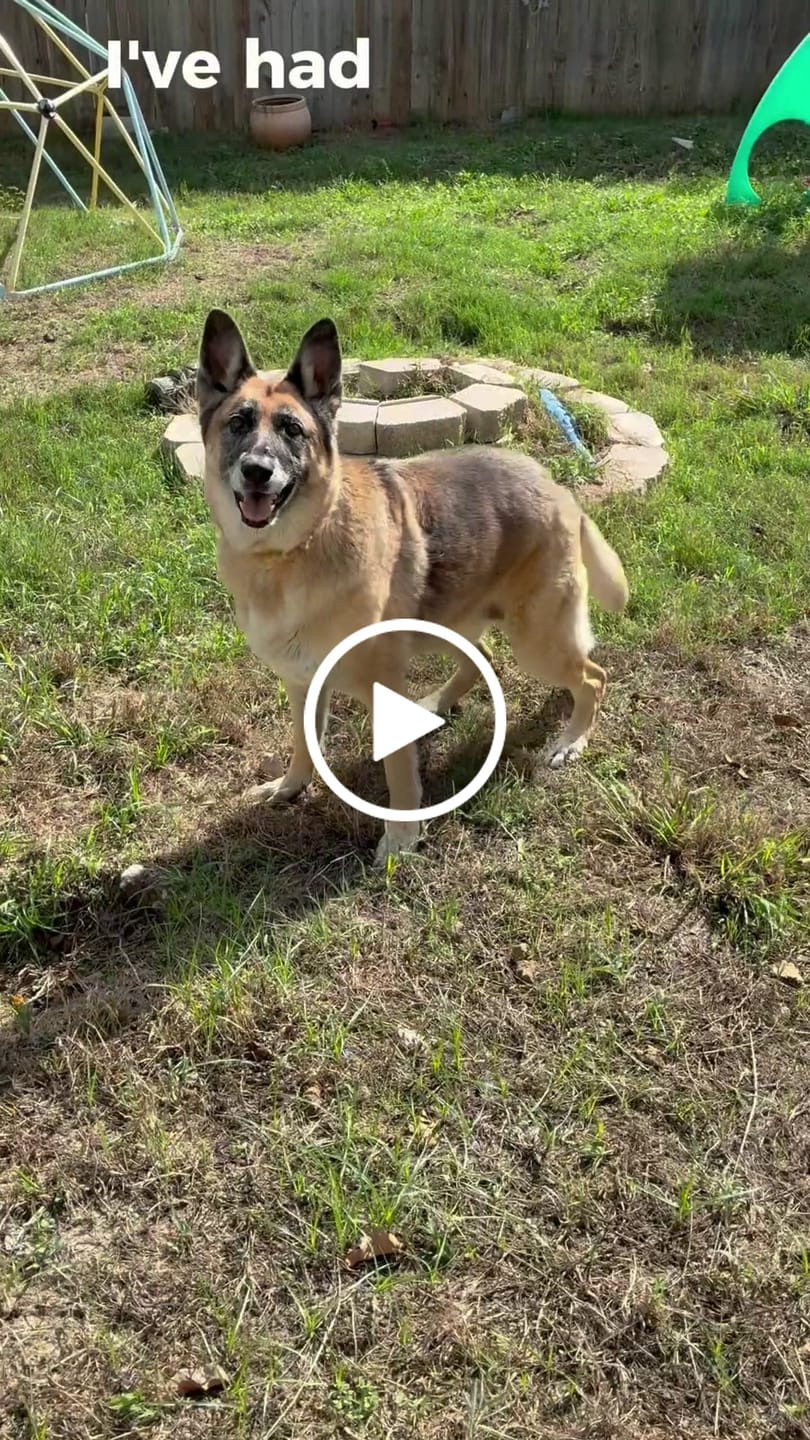 Customer video review of FlexCare Pets - Joint & Mobility Support For Dogs & Cats