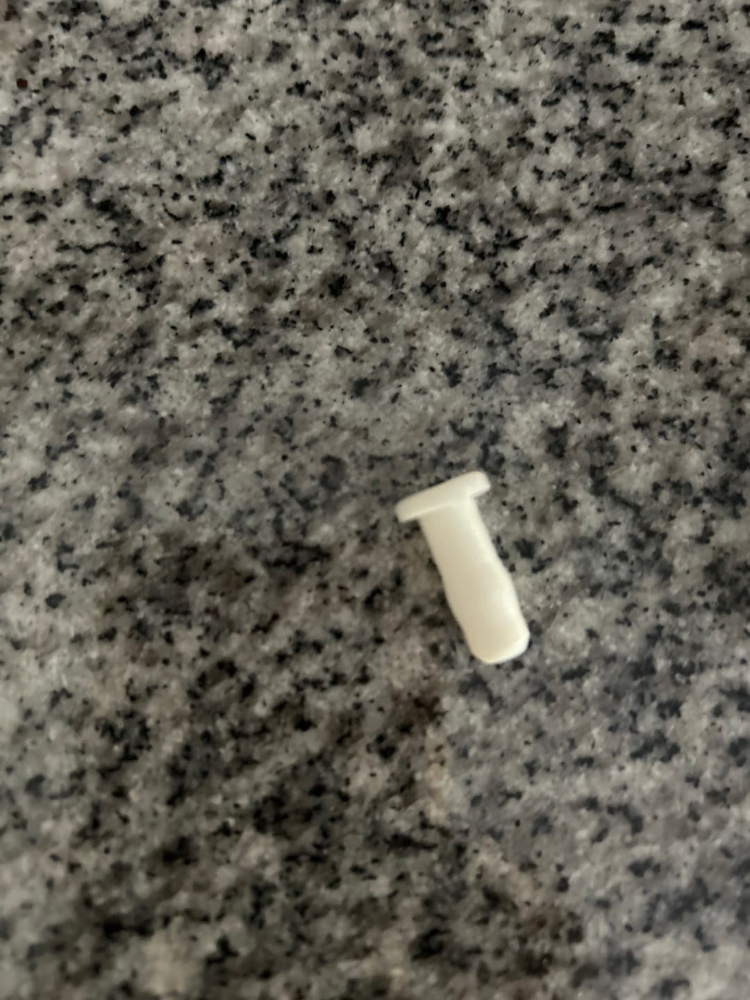 Customer photo review of Balance Trainer Plug