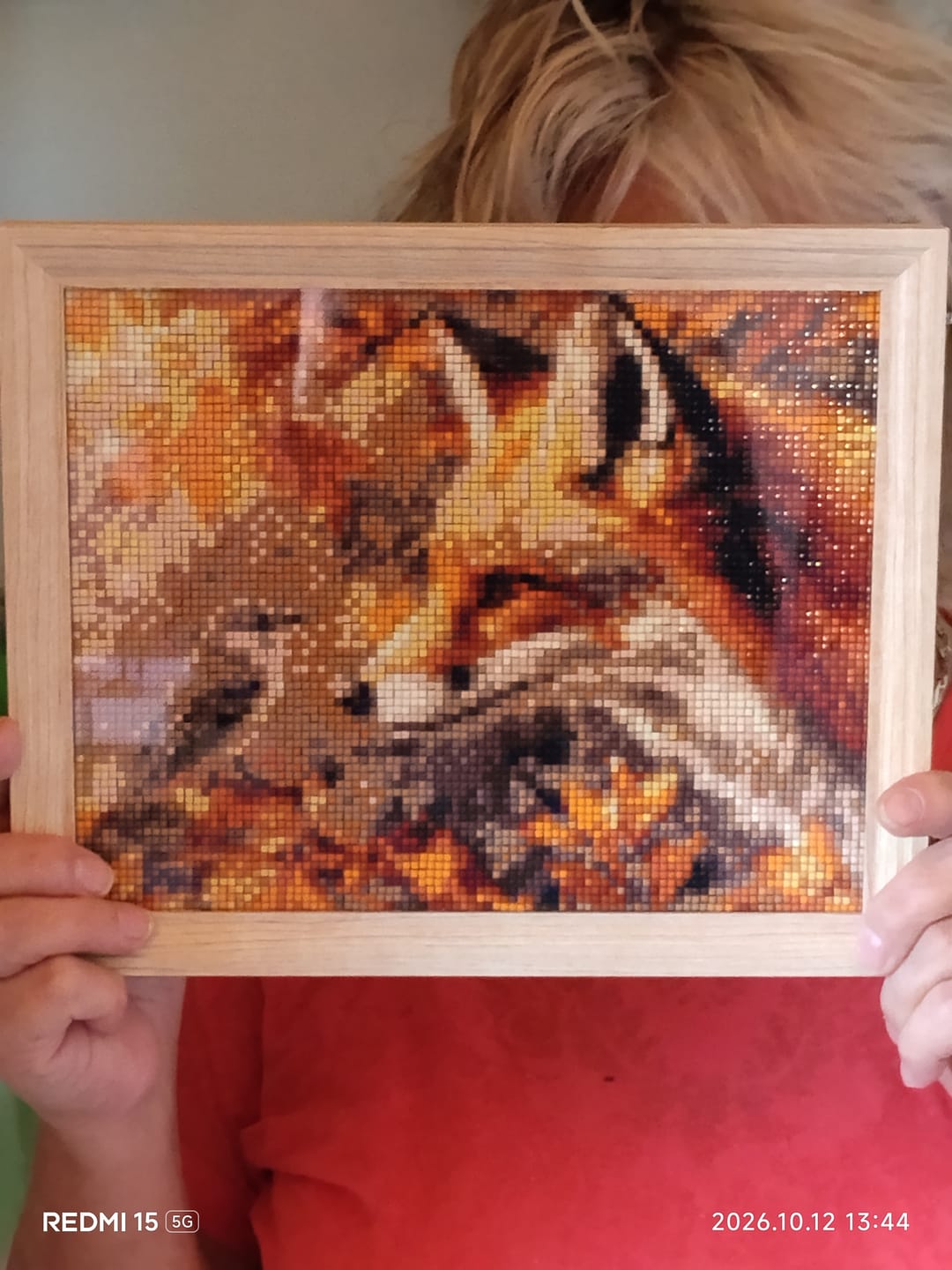 Customer photo review of Broderie Diamant - Renard et oiseau en Automne