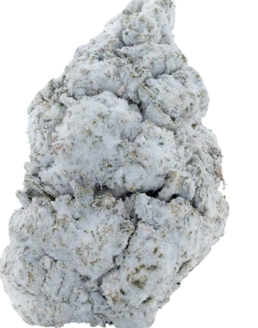 Customer photo review of Snow Balls