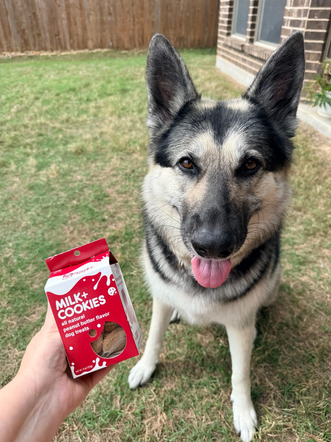 Customer photo review of Milk & Cookies Biscuits